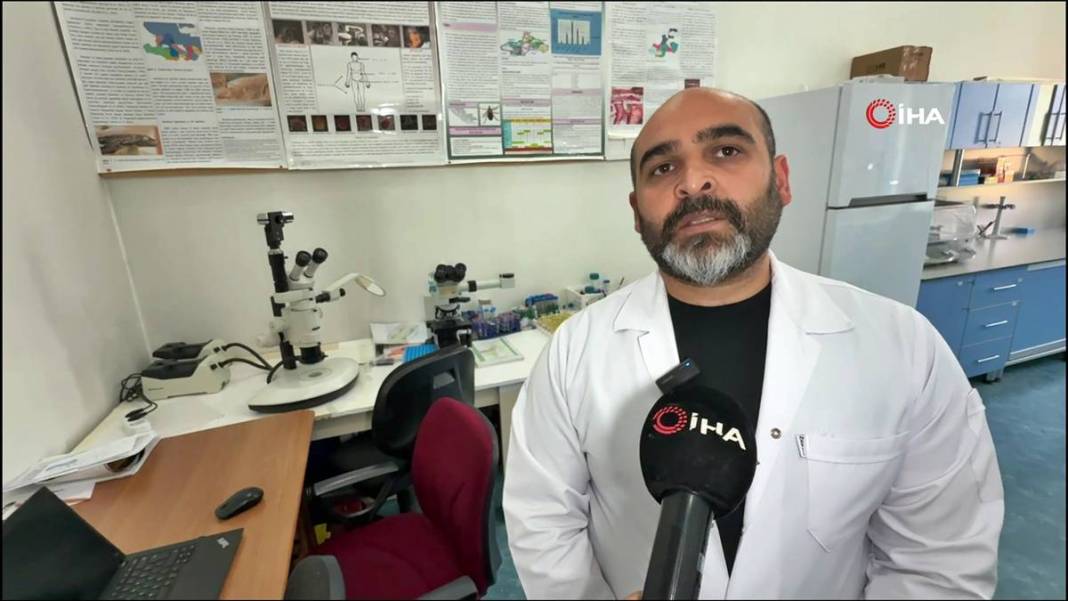 Bu mevsimde kamp yapanlar şimdi yandı: Sayısı hızla artıyor! Uzman isim uyardı, bunun şakası yok 2